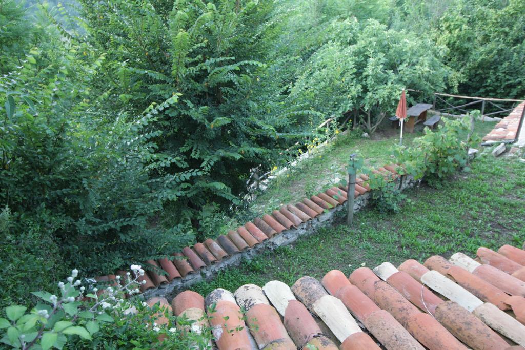 Casa Vacanze Antico Poggio Poggio San Giovanni Luaran gambar